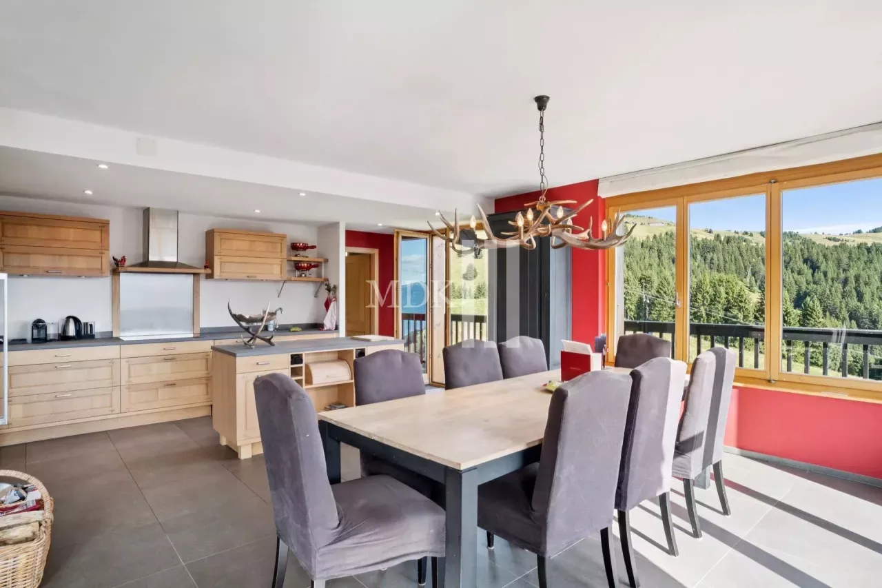 Lumineux appartement : Ski in and out