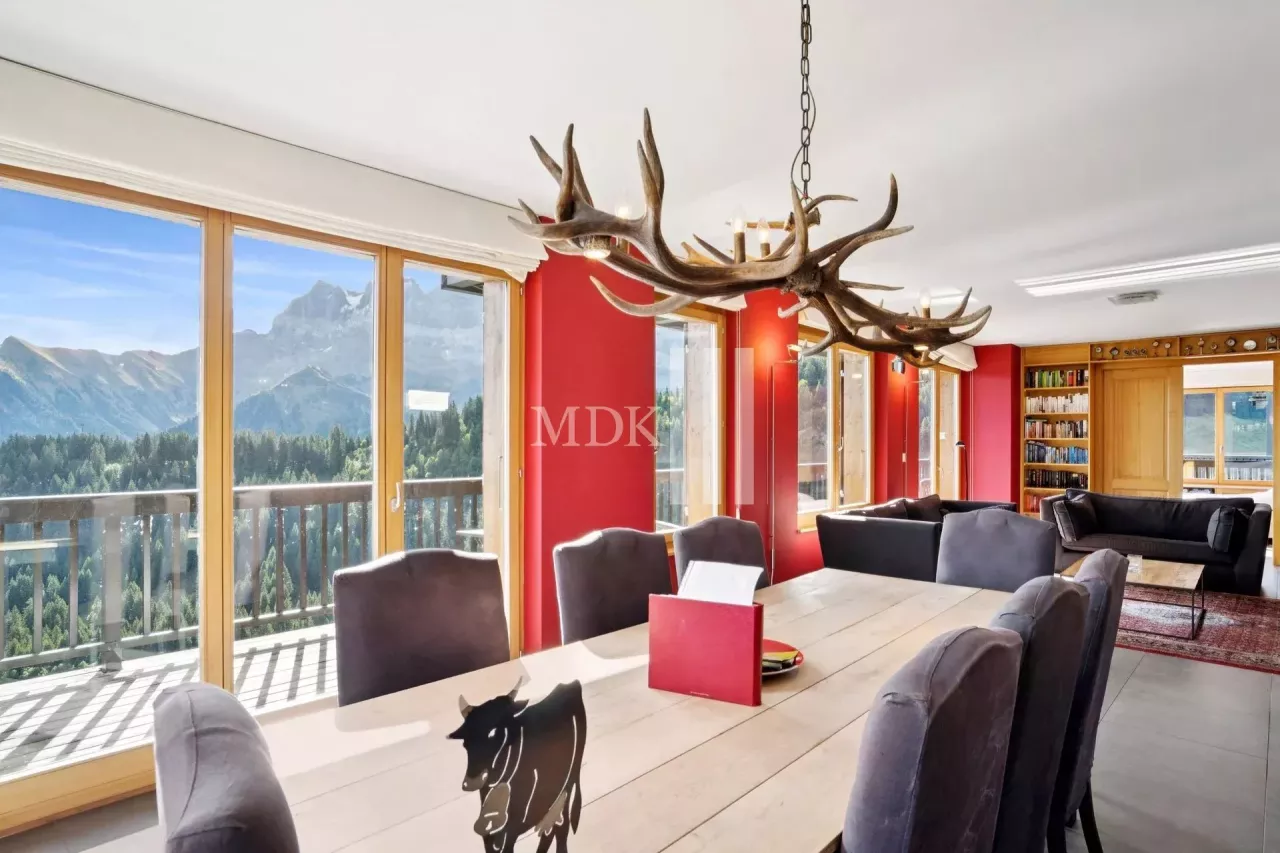 Lumineux appartement : Ski in and out