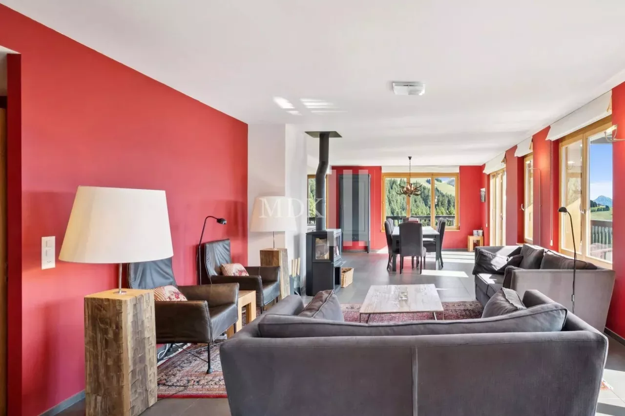 Lumineux appartement : Ski in and out