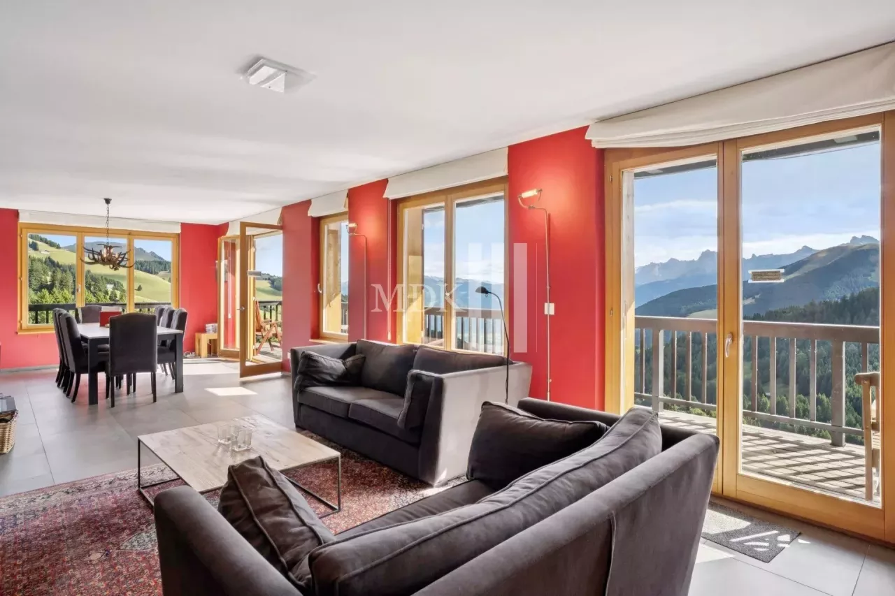 Lumineux appartement : Ski in and out