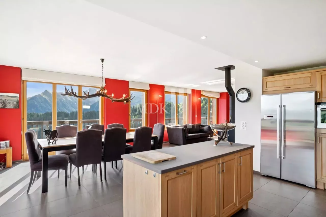 Lumineux appartement : Ski in and out