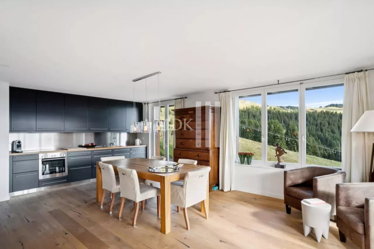 Magnifique appartement Ski in and out