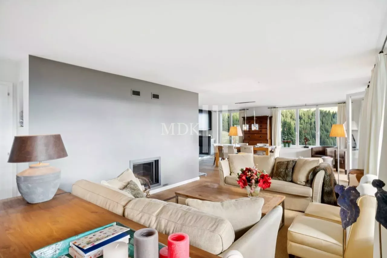 Magnifique appartement Ski in and out