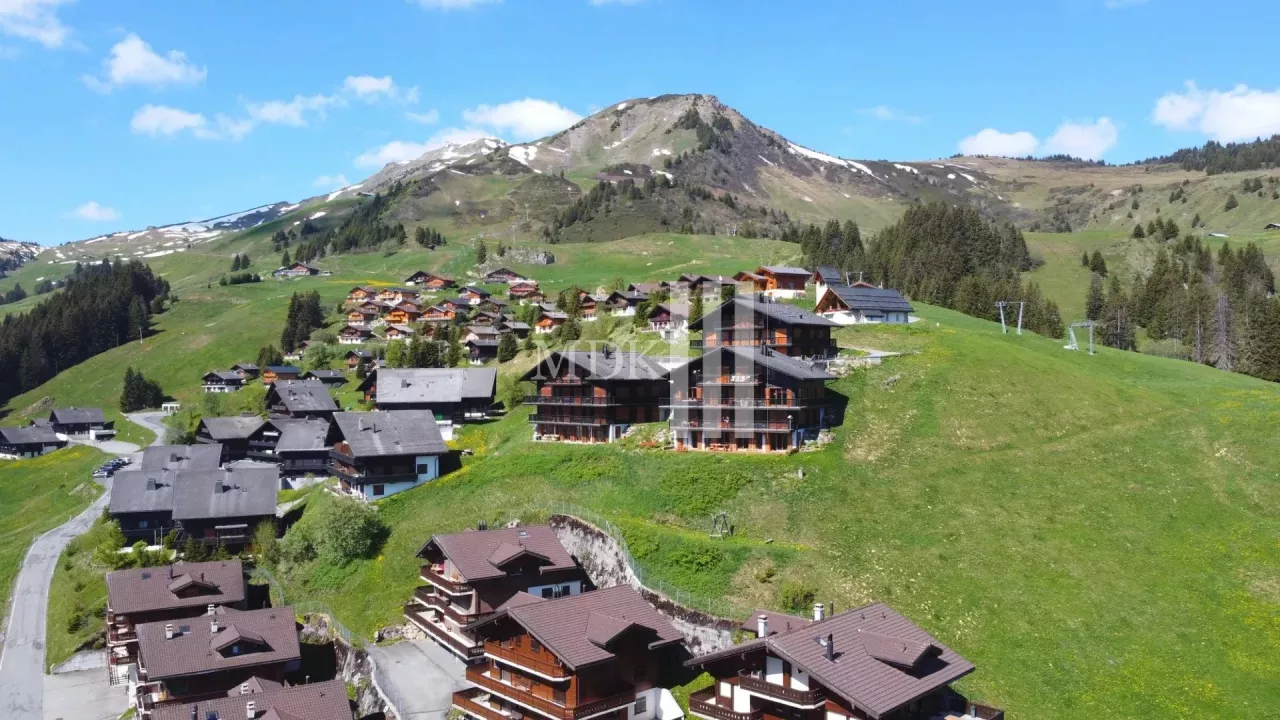 Magnifique appartement Ski in and out