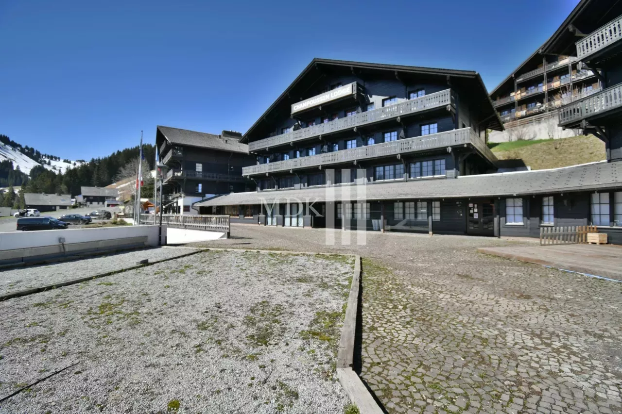 Opportunité ! Appartement rénové proche des pistes