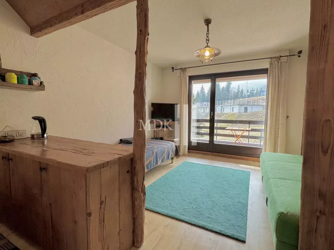 Charmant studio à la montagne