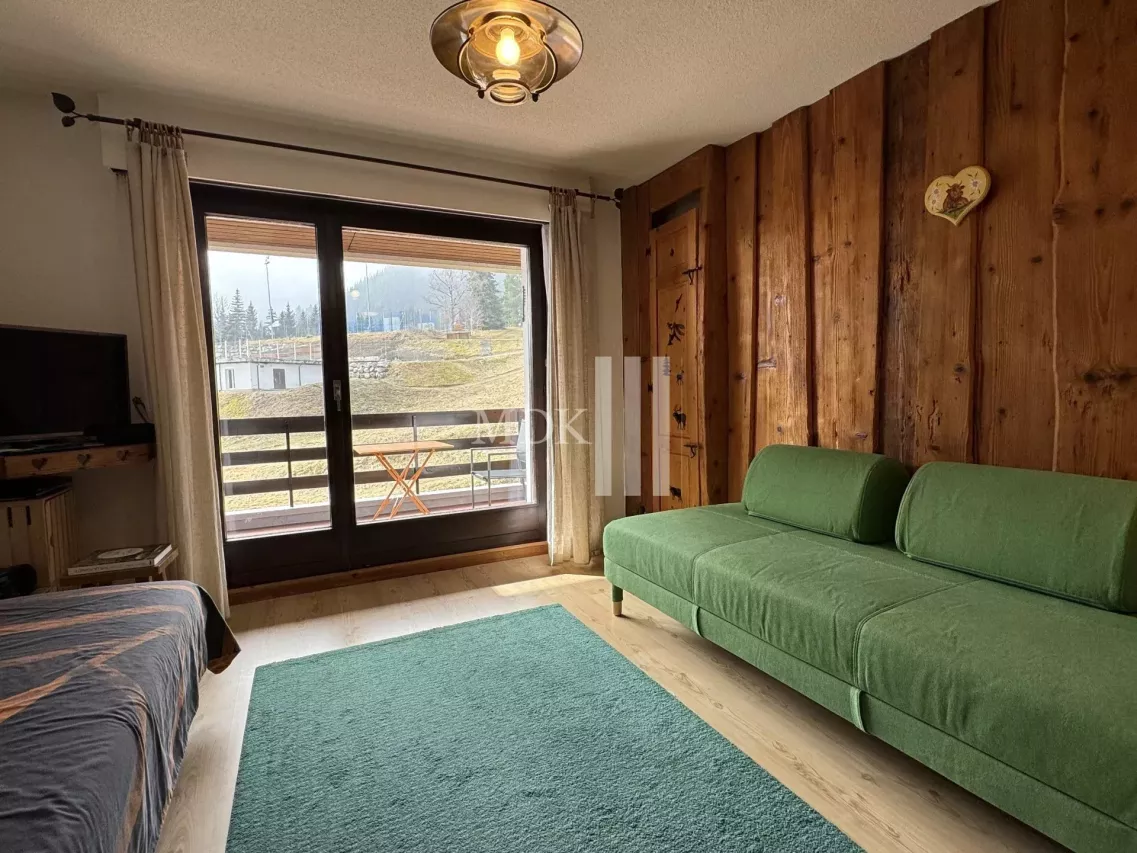 Charmant studio à la montagne