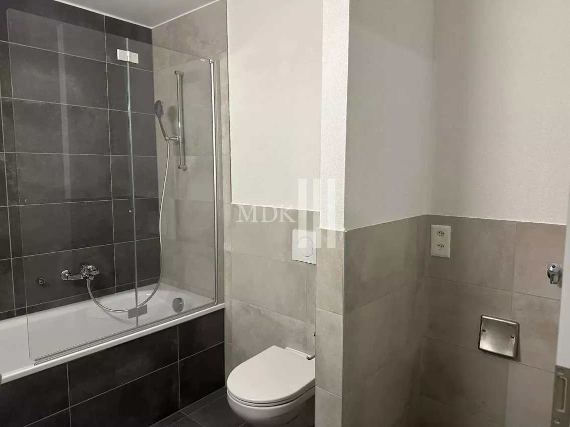 Spacieux 4.5 pièces avec vue sur les Dents du Midi