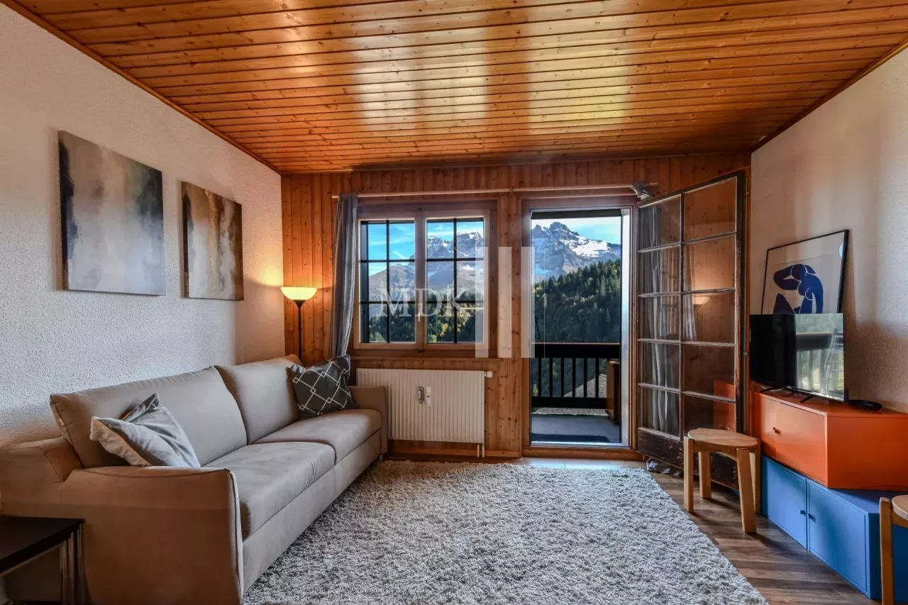 Studio ski in and out avec vue sur les Dents du Midi !