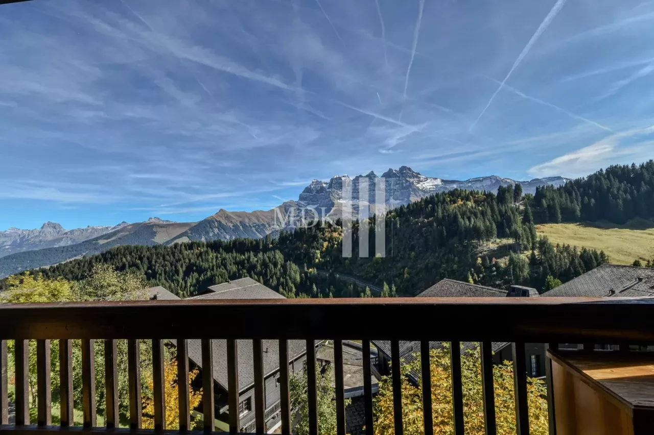 Studio ski in and out avec vue sur les Dents du Midi !