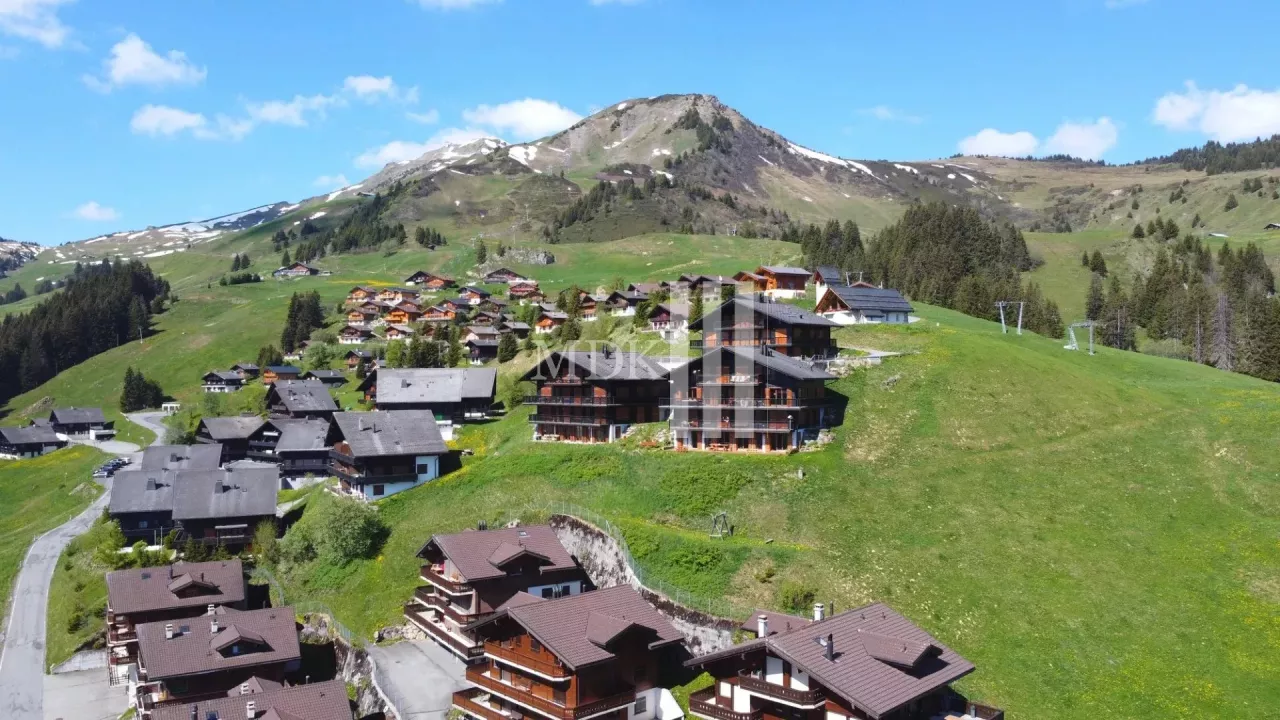 Magnifique appartement Ski in and out