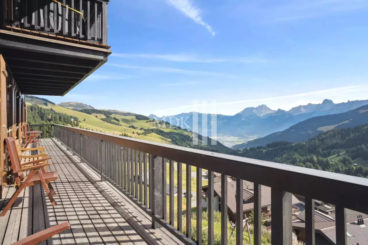 Lumineux appartement : Ski in and out