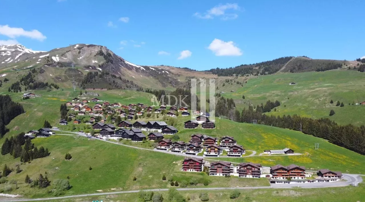 Lumineux appartement : Ski in and out