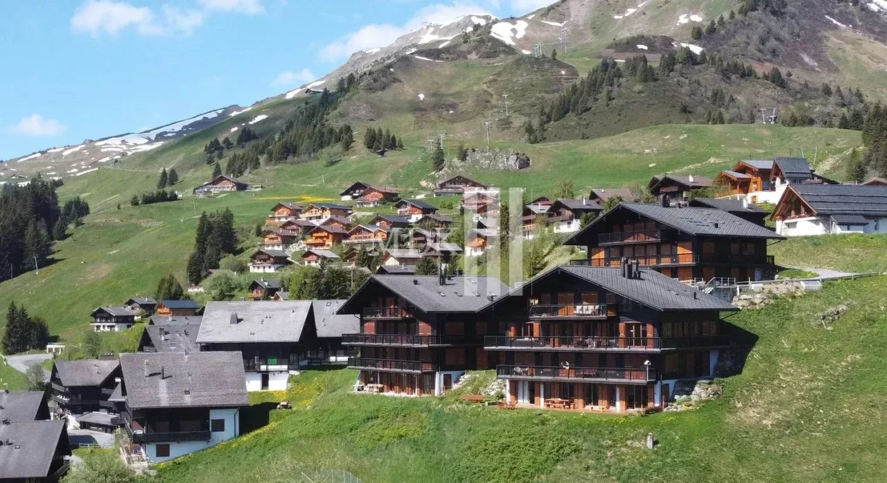 Lumineux appartement : Ski in and out