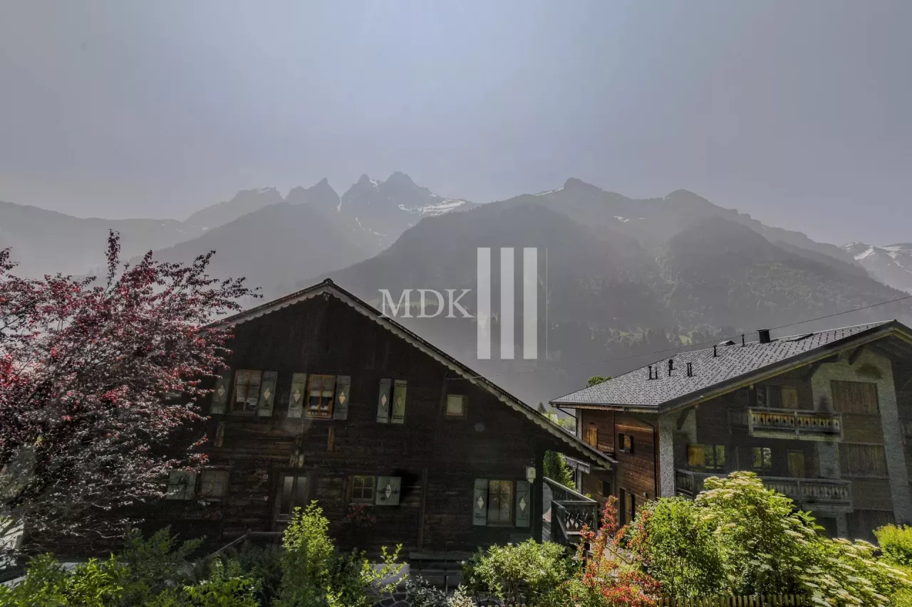 Magnifique chalet idéalement situé au cœur du village