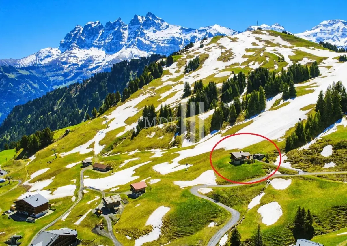 Luxueux chalet sur les pistes de ski !