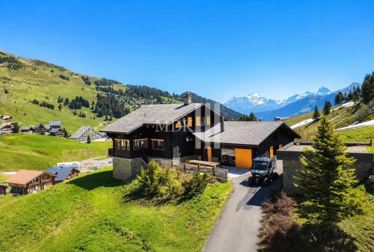 Luxueux chalet sur les pistes de ski !
