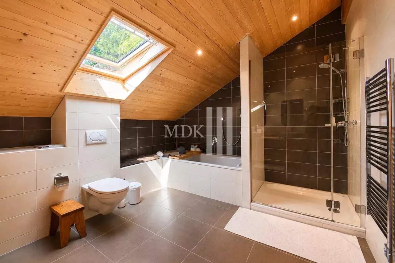 Magnifique chalet avec vue sur les Dents du Midi