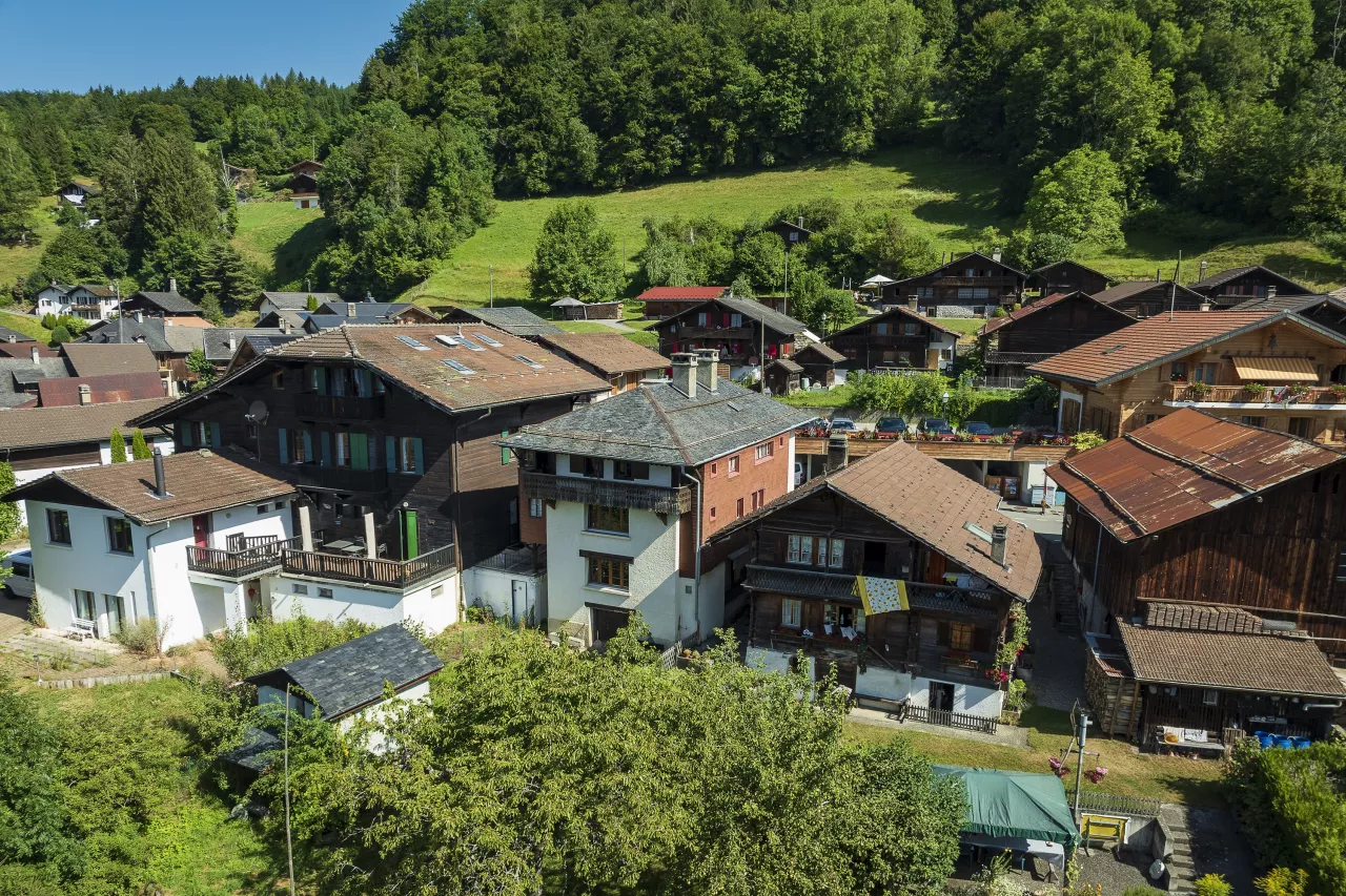 Maison villageoise de 2 appartements sur parcelle dominante aux Posses-sur-Bex