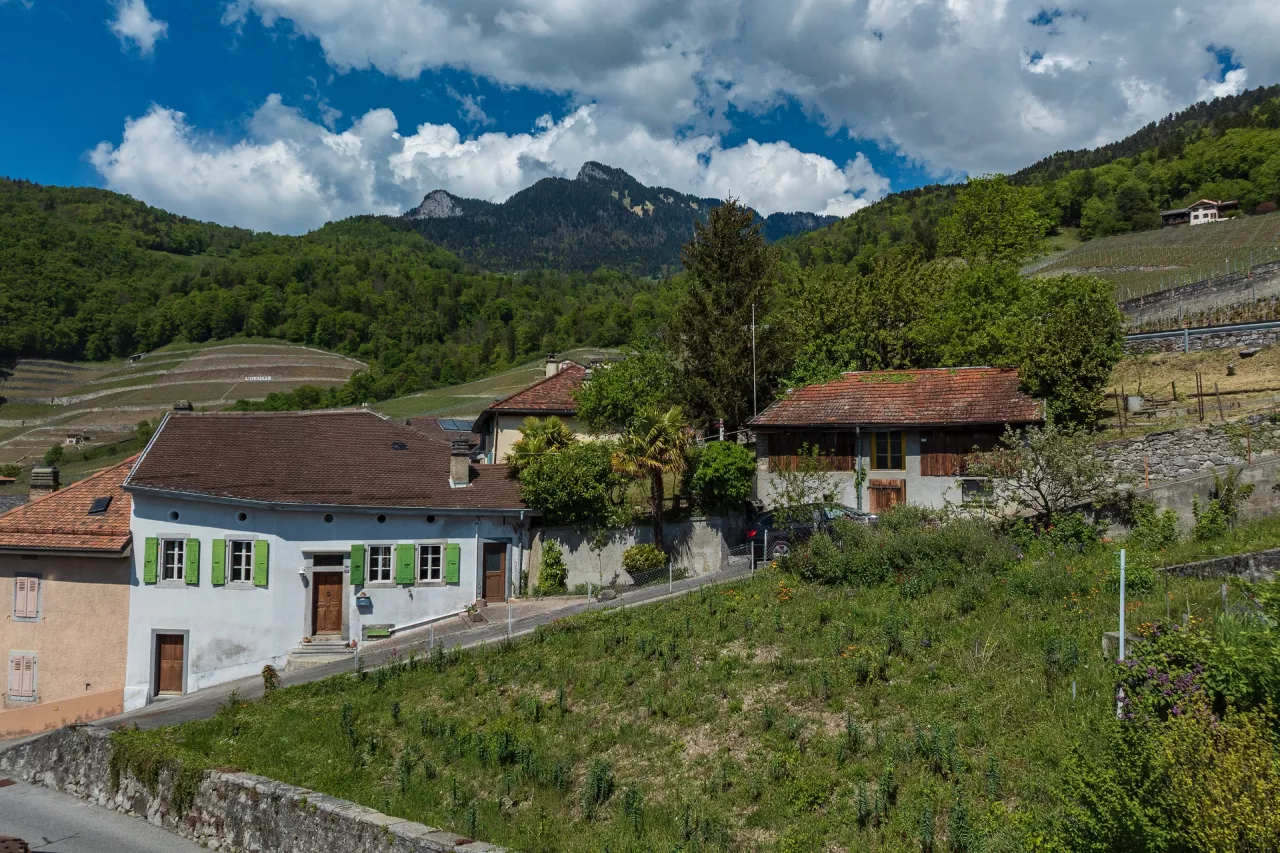 Maison villageoise contiguë de 3.5 pièces à Yvorne