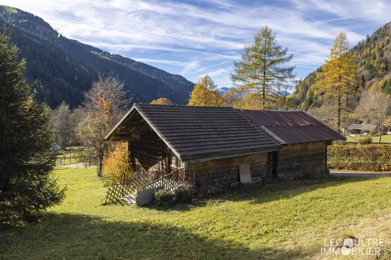 Chalet individuel de 6.5 pièces aux Plans-sur-Bex