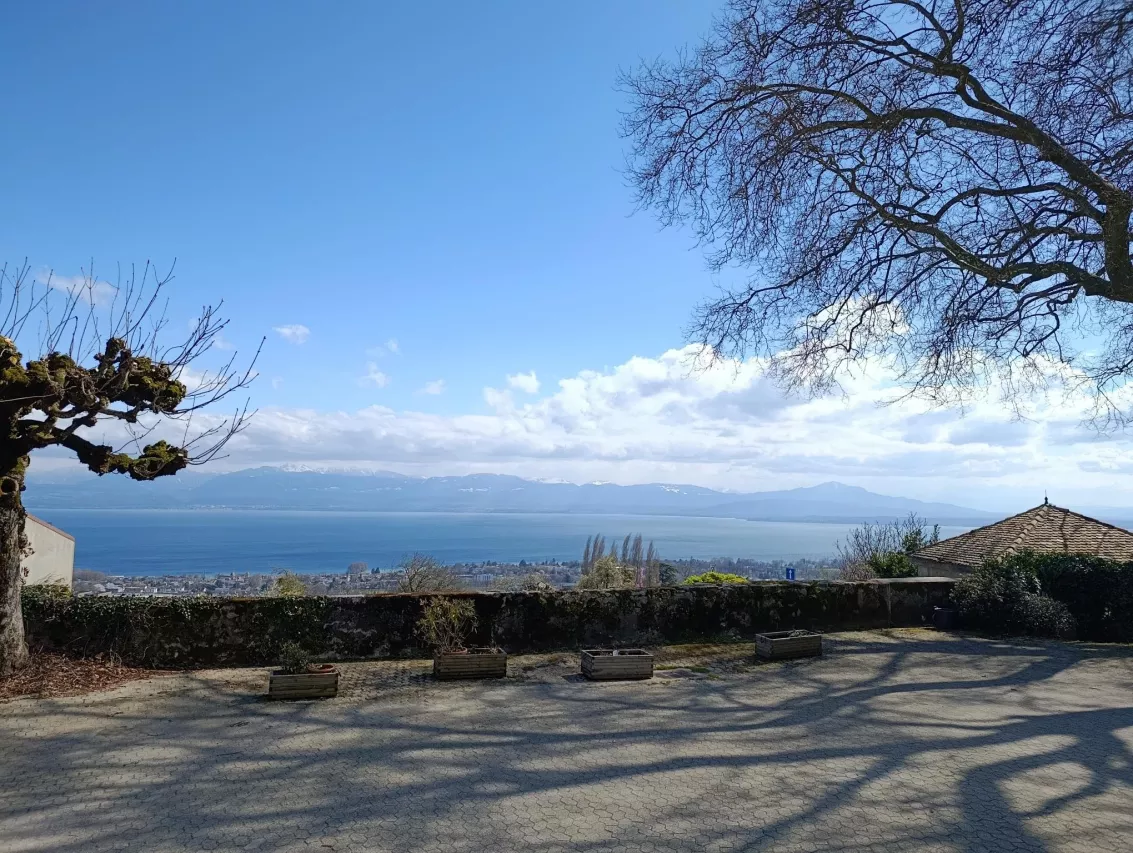 Essertines-sur-Rolle - Magnifique villa contigüe de 4.5 pièces pleine de cachet