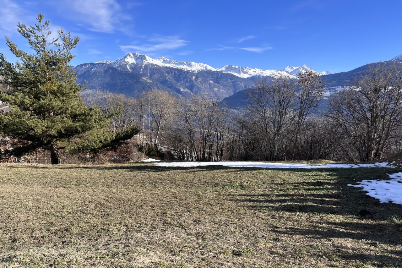 À la Découverte de Montana Village : Appartements Spacieux à Vendre