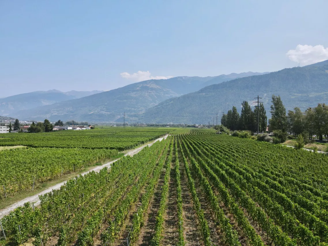 Cadre de vie idéal - calme et tranquillité